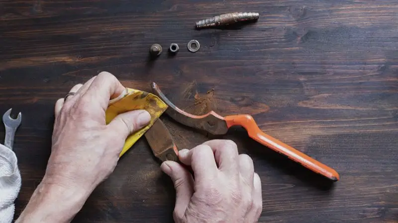 common mistakes to avoid with garden tools use