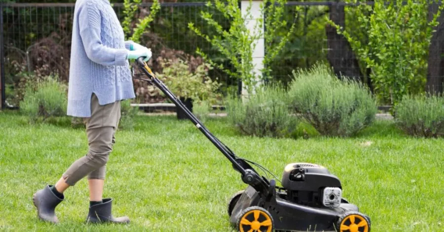 When to do spring yard clean-up​