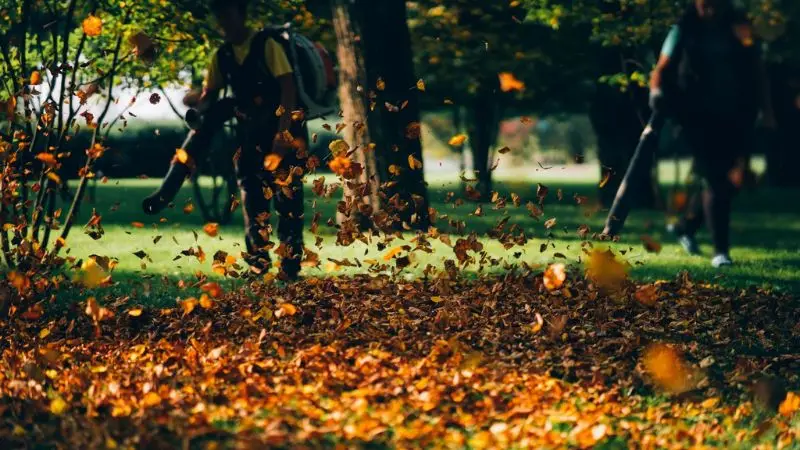 signs your yard is ready for spring cleanup
