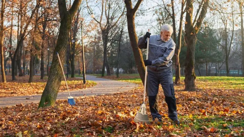 signs your yard is ready for spring cleanup