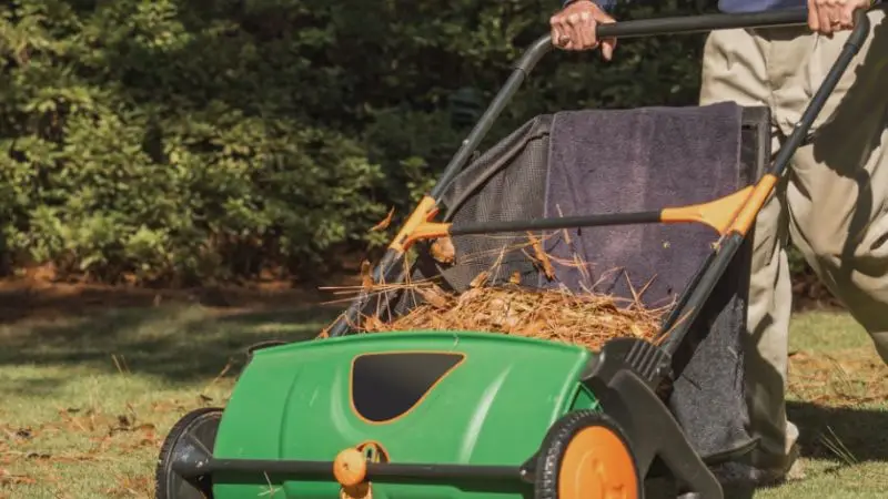  tools needed for spring yard cleanup