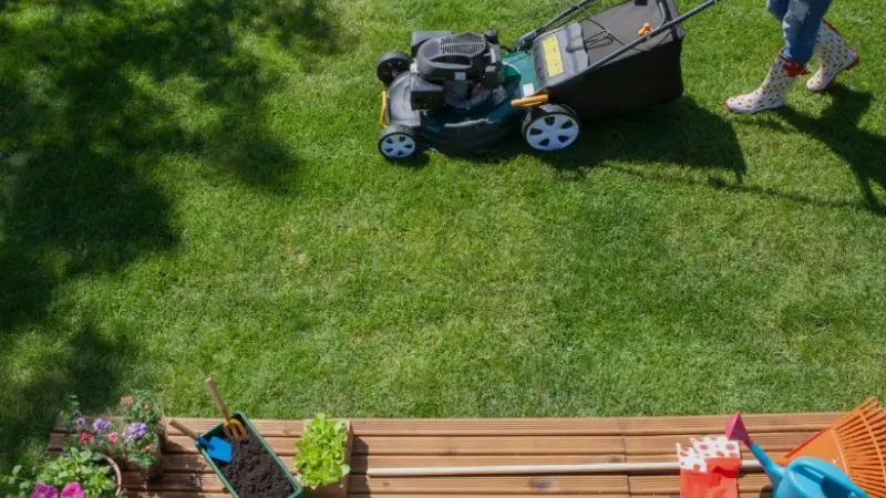 Use a lawn sweeper for yard cleanup