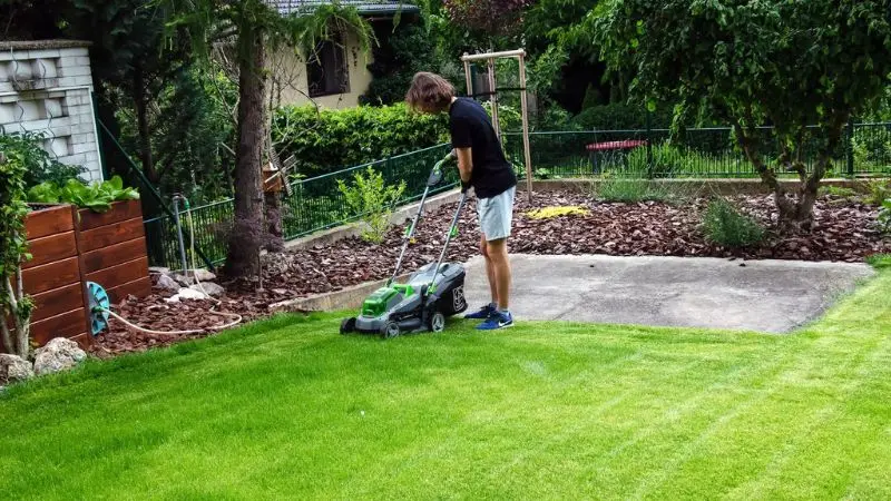  guide for cleaning fake grass