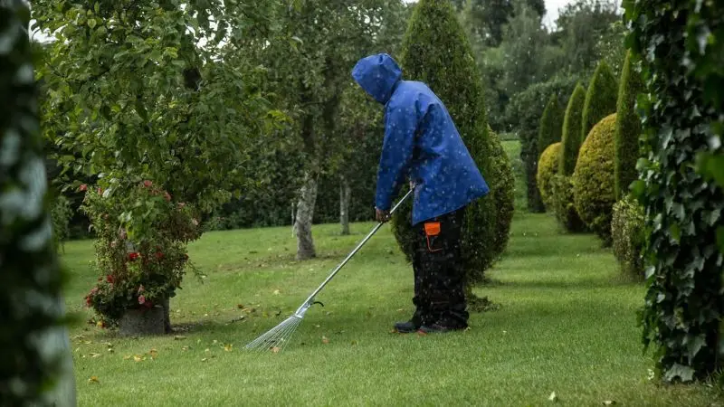 How to maintain and clean fake grass