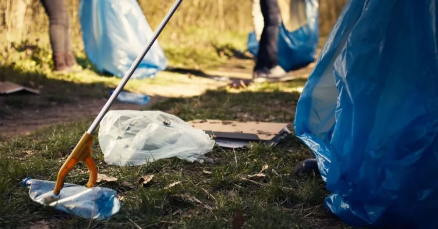 lawn debris disposal​