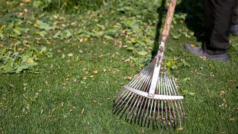 Why proper lawn debris disposal is important