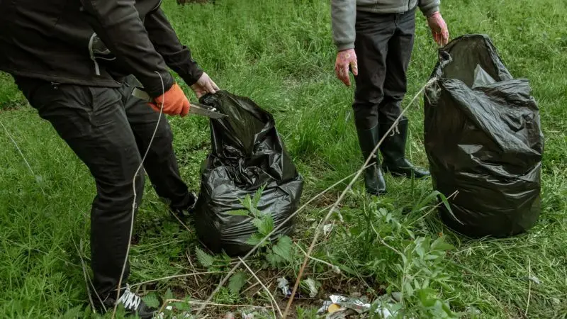 easy ways to throw away yard waste