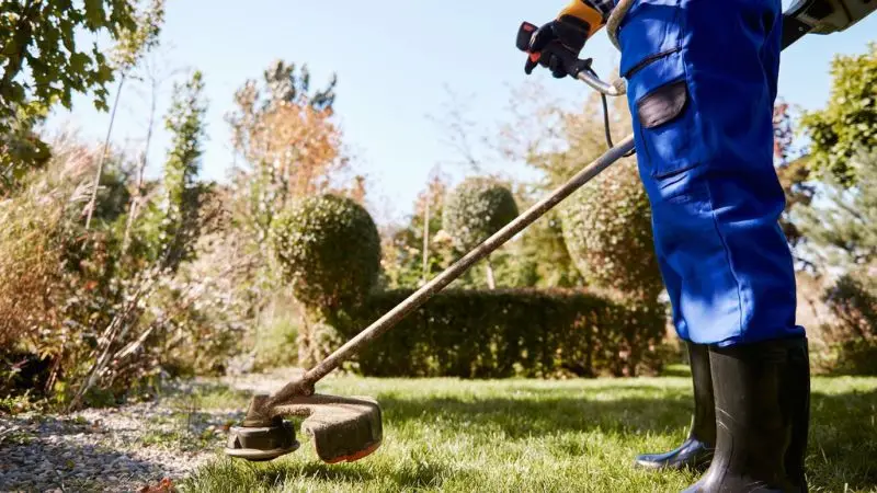 simple and smart ways to reduce lawn debris