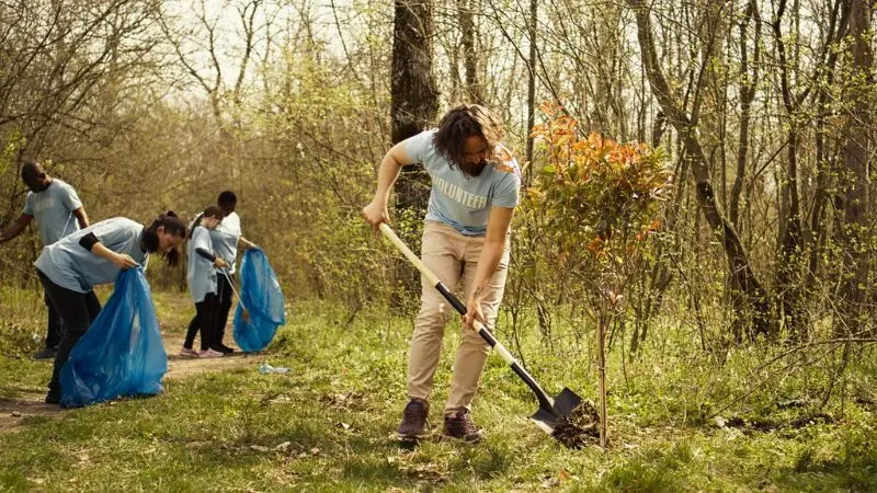 eco-friendly lawn debris removal tips