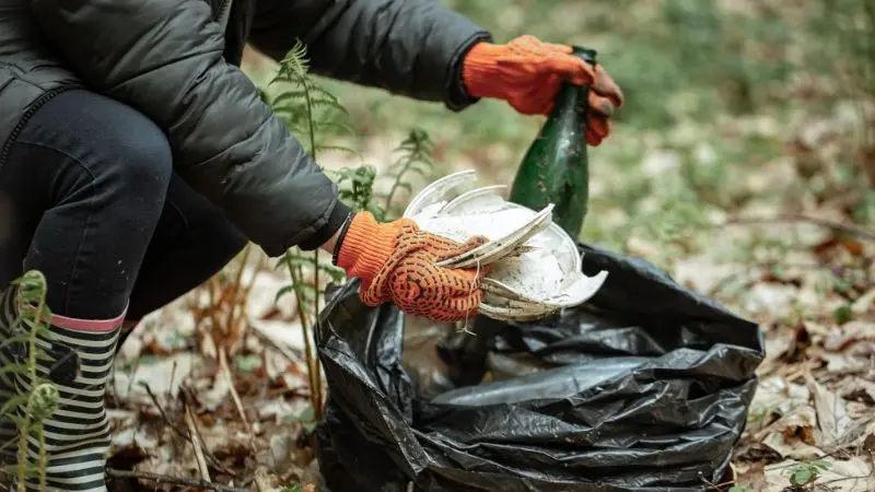common mistakes to avoid in lawn debris management