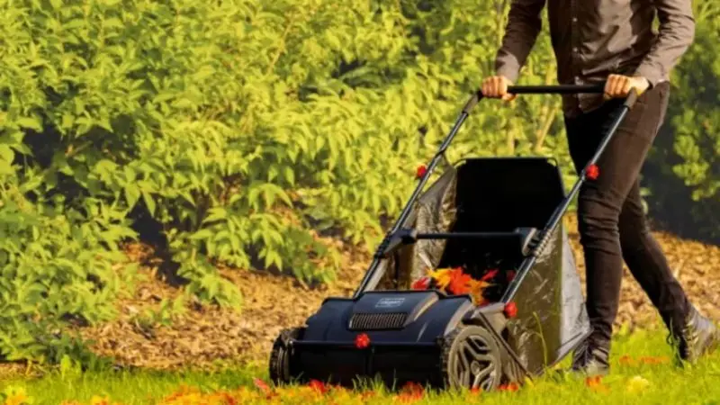 best yard debris collector picks for different needs