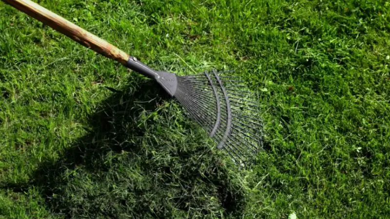 migliori pratiche per lasciare i residui di erba tagliata