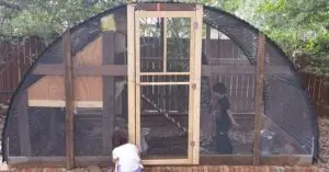 how to build a chicken coop door​
