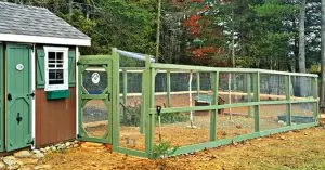 fencing for chicken coop​