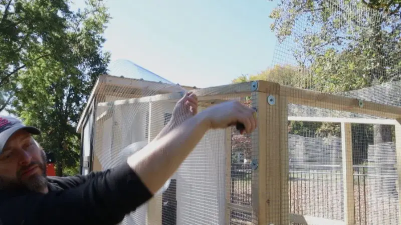 How to design a safe layout for a chicken coop