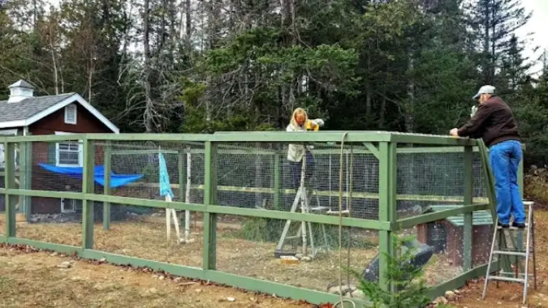 step-by-step guide to installing chicken coop fencing