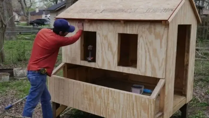 DIY chicken coop ideas for backyard