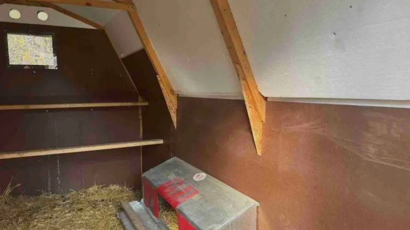 How to install insulation in a chicken coop