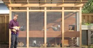 chicken coop ventilation ideas​