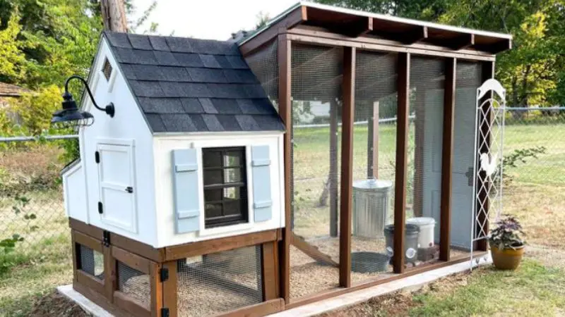  advanced chicken coop ventilation ideas