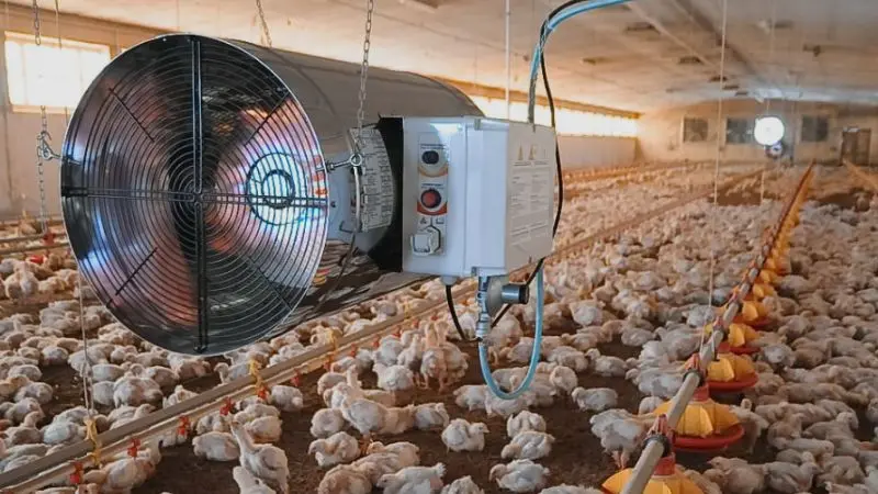 seasonal chicken coop ventilation tips