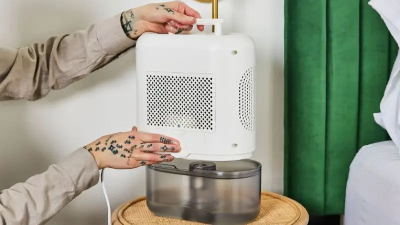  common dehumidifier sizing mistakes
