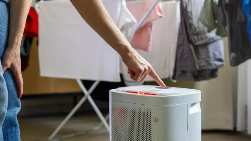 How to use a dehumidifier properly