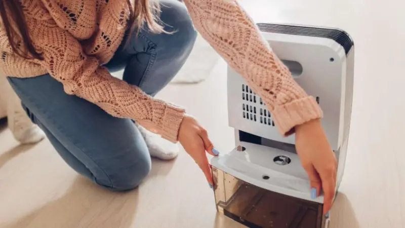 benefits of a dehumidifier