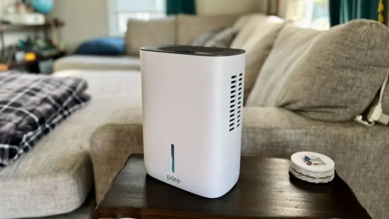  How to choose the right dehumidifier for your home