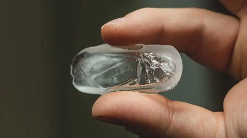 Mold in Ice Machine