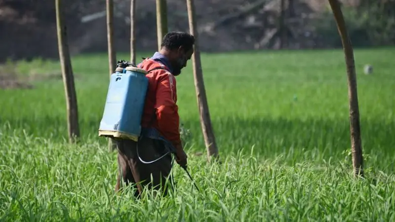 How to use a battery-powered pump sprayer effectively