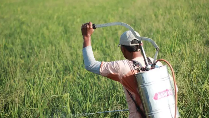 maintenance and tips for battery-powered pump sprayer