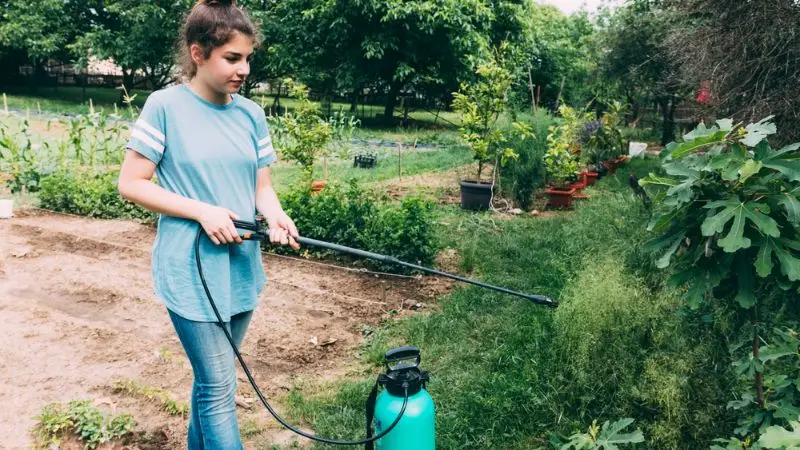 common problems of the pump sprayer and how to fix them