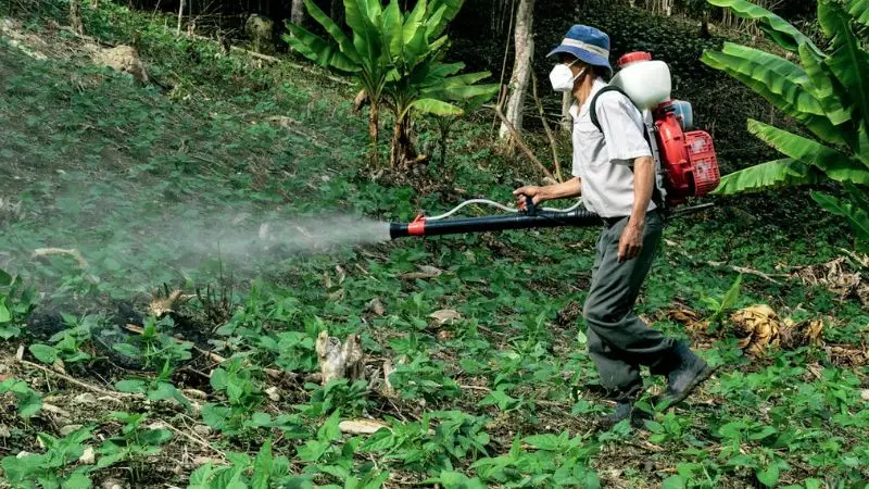 get the advantage of using the battery-powered pump sprayer