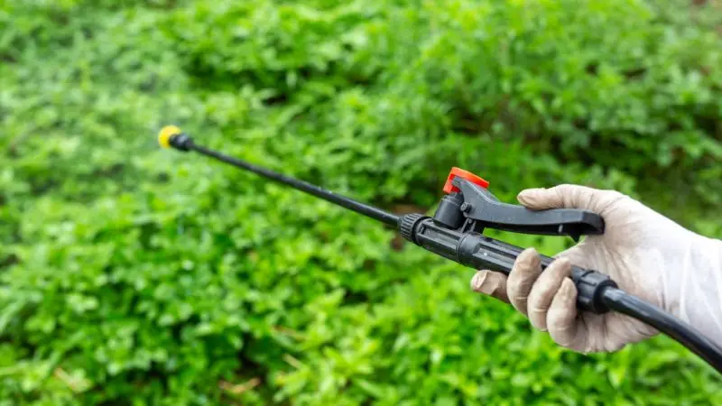 Why choose a battery-powered lawn sprayer over gas models