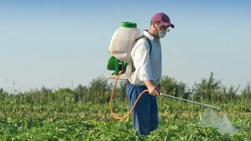 performance comparison between the battery, gas, and manual sprayer