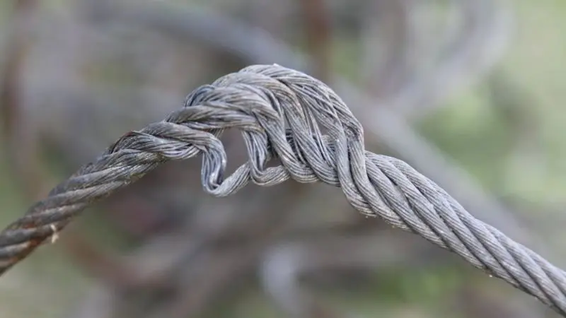 Cavo elettrico danneggiato
