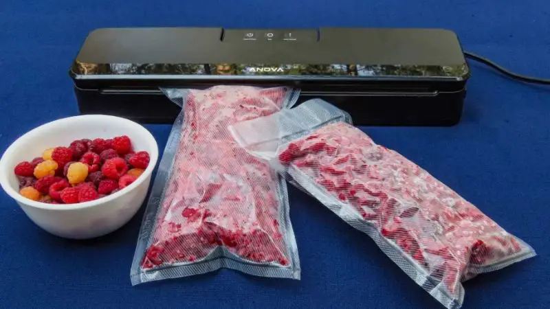 top 7 compact vacuum sealers