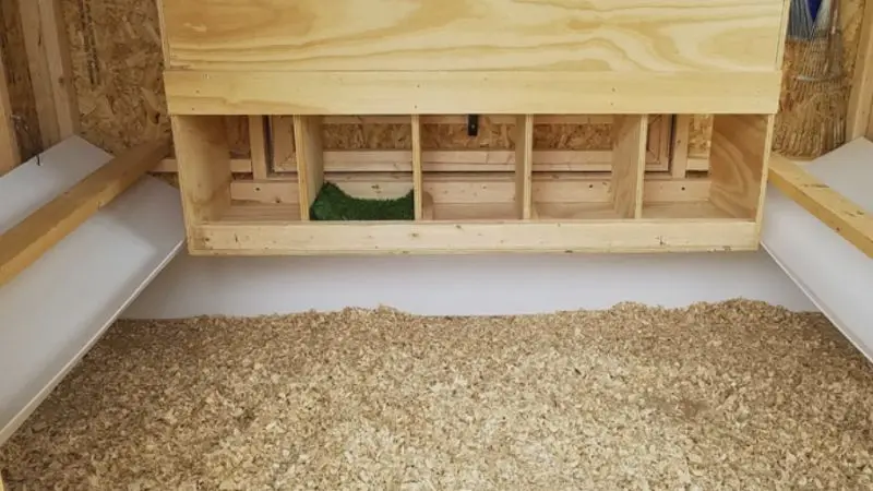 What to consider before choosing chicken coop flooring