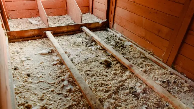 best chicken coop flooring choice based on your needs