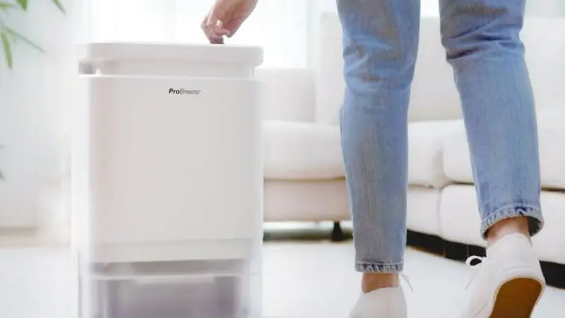 Right Dehumidifier Size