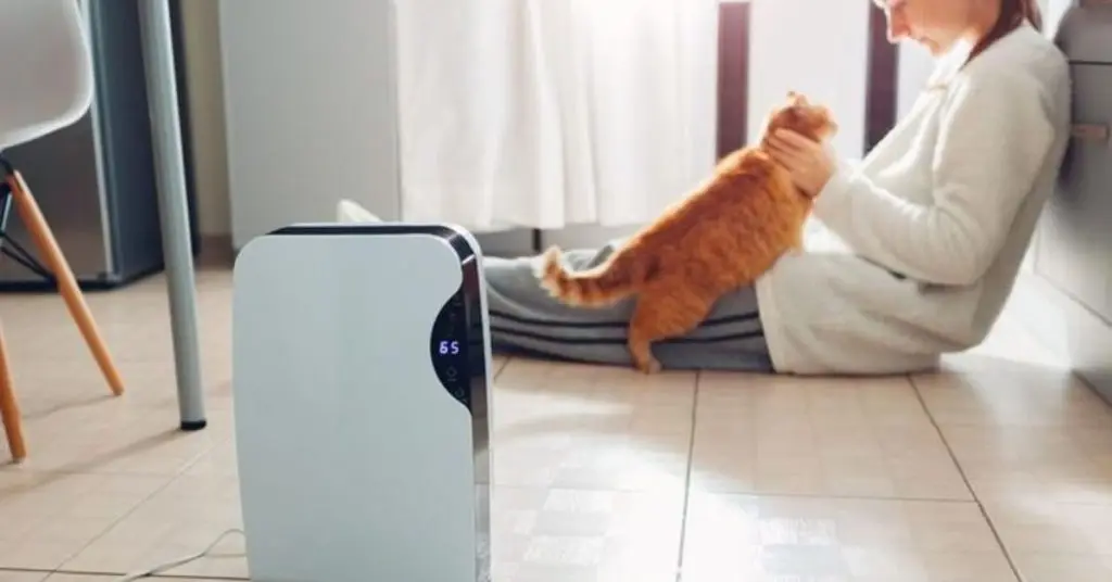 dehumidifier buying guide