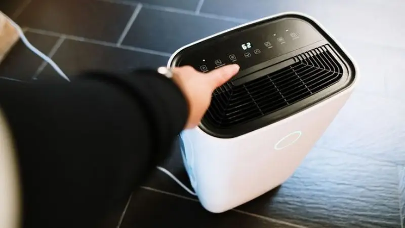 Right Dehumidifier Size
