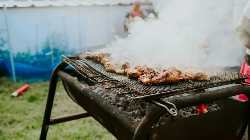 best smoker for backyard: top picks