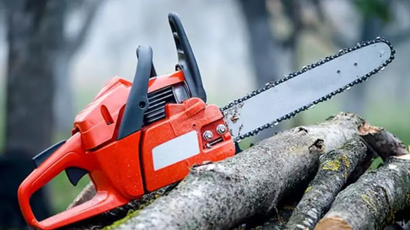 Gas Chainsaw for Woods
