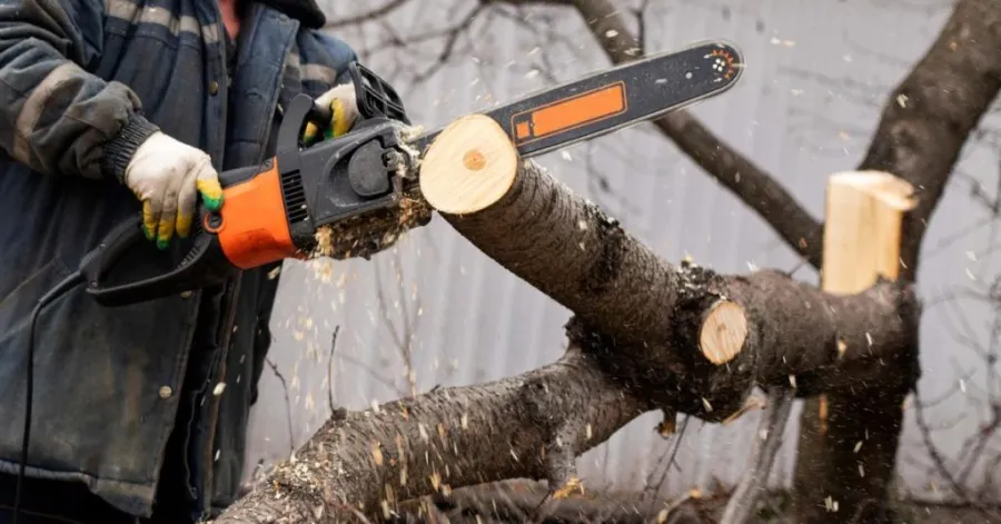chainsaw maintenance tools 