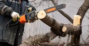 chainsaw maintenance tools 