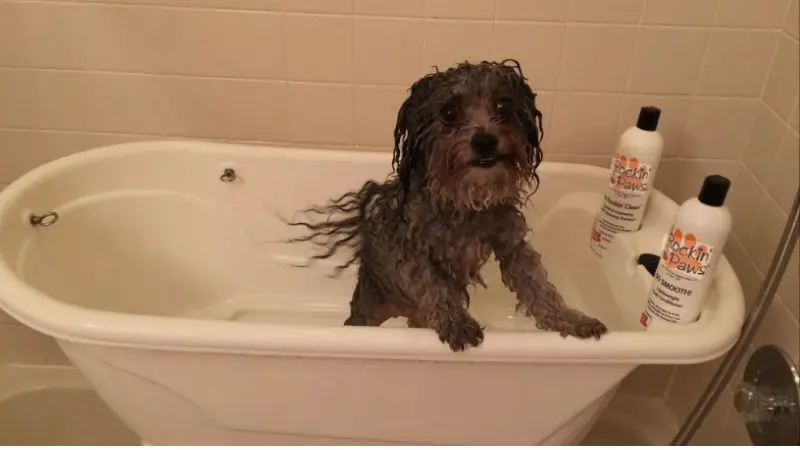common mistakes to avoid when buying a bathtub