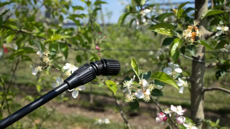 Consigli per la manutenzione degli irroratori chimici a batteria