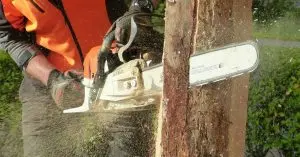 motosierra ligera a gasolina
